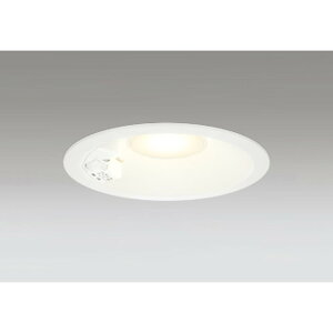 �I�[�f���b�N[OD261959R]�_�E�����C�g100W�N���X