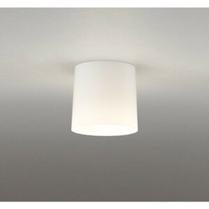 �I�[�f���b�N[OL013006LR]�V�[�����O���C�g