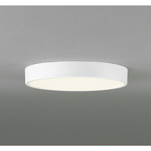 �I�[�f���b�N[OL251727R]�V�[�����O���C�g