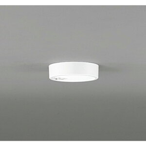 �I�[�f���b�N[OL251780R]�V�[�����O���C�g