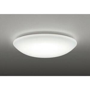 �I�[�f���b�N[OL251816R]�V�[�����O���C�g