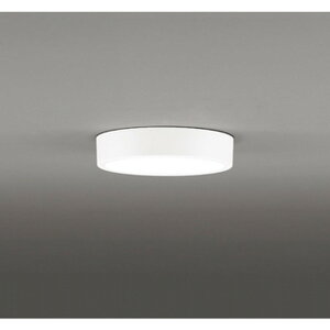 �I�[�f���b�N[OL251858R]�V�[�����O���C�g