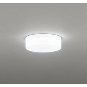 �I�[�f���b�N[OL291335R]�V�[�����O���C�g