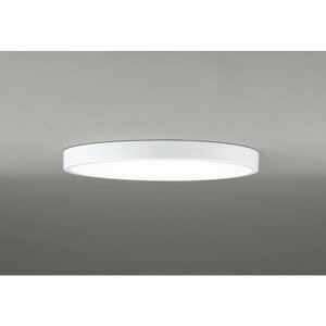 �I�[�f���b�N[OL291362BR]�V�[�����O���C�g