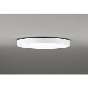 �I�[�f���b�N[OL291563BR]�V�[�����O���C�g