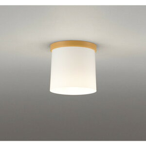 �I�[�f���b�N[OL013007LR]�V�[�����O���C�g