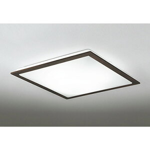 �I�[�f���b�N[OL251356R]�V�[�����O���C�g