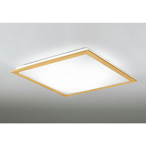 �I�[�f���b�N[OL251630R]�V�[�����O���C�g