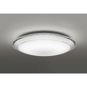 �I�[�f���b�N[OL291353R]�V�[�����O���C�g