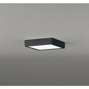 �I�[�f���b�N[OL291396BR]�V�[�����O���C�g