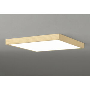 �I�[�f���b�N[OL291517BR]�V�[�����O���C�g