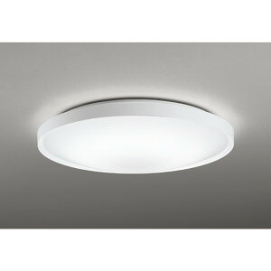 �I�[�f���b�N[OL291552R]�V�[�����O���C�g