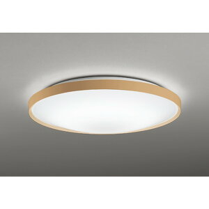�I�[�f���b�N[OL291555R]�V�[�����O���C�g