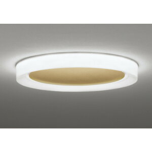 �I�[�f���b�N[OL291609BR]�V�����f���A