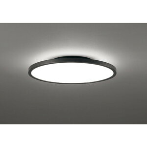 �I�[�f���b�N[OL291620BR]�V�[�����O���C�g