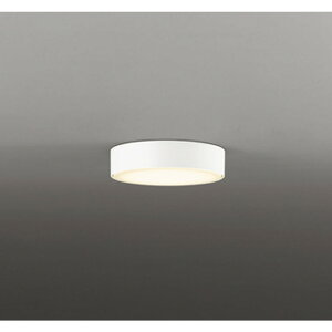 �I�[�f���b�N[OL291673LR]�V�[�����O���C�g