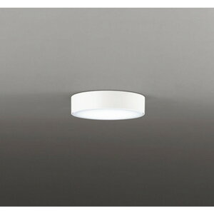 �I�[�f���b�N[OL291673WR]�V�[�����O���C�g