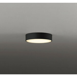 �I�[�f���b�N[OL291674LR]�V�[�����O���C�g