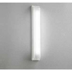 �I�[�f���b�N[OG254099R]�G�N�X�e���A