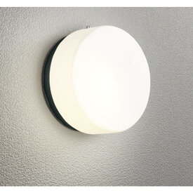 オーデリック[OG254978LCR]エクステリア