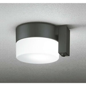 �I�[�f���b�N[OG254988NCR]�G�N�X�e���A