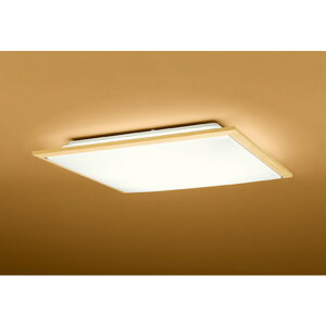 �I�[�f���b�N[OL251479R]�a���Ɩ�