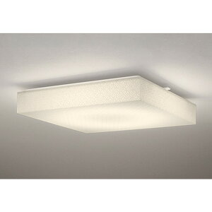 �I�[�f���b�N[OL291591R]�a���Ɩ�