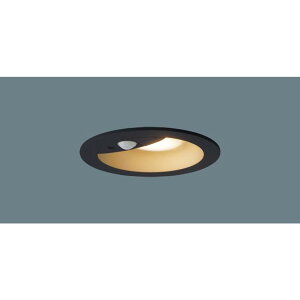 �p�i�\�j�b�N[LGDC1105LLE1]�V�䖄���^�@LED�i�d���F�j�@�_�E�����C�g�@��^10H�E���C��SB�`�E�g�U�^�C�v�@FreePa�E�y�A�_���\�^�EON/OFF�^�E���邳�Z���T�t