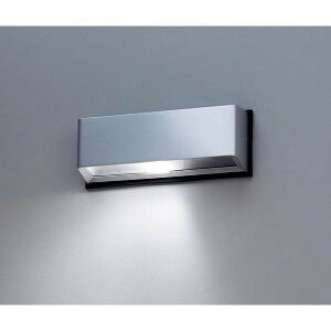 �p�i�\�j�b�N[NNY20232KLE1]�u���P�b�g���C�g