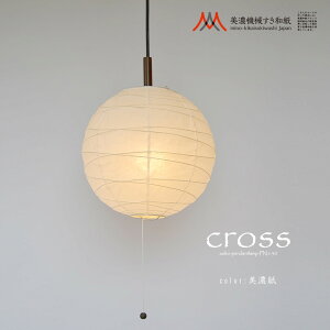 �ʌ��f�U�C��[PN1-30]�y���_���g���C�g