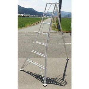 VZC[SIN-07]A~|Ori|tj