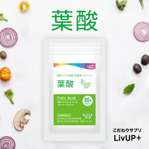 t_ Tv 30 30 | uAbvvX h{@\Hi t_ r^~B2,B6,B12,S,JVE,}OlVE ێڈ11