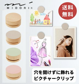 ミドリ ピクチャークリップ 3個セット / 送料無料 壁に穴を開けずに飾れる 後が残らない 壁にやさしい 木製 木 クリップ 頑丈 強力 おしゃれ シンプル ホワイト グレー グリーン ピンク 壁 賃貸 ポストカード 絵 写真 傷が目立たない インテリア MIDORI ミドリカンパニー