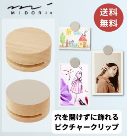 ミドリ ピクチャークリップ 3個セット グレー / 送料無料 壁に穴を開けずに飾れる 後が残らない 壁にやさしい 木製 木 クリップ 頑丈 強力 おしゃれ シンプル ホワイト壁 ポストカード 絵 写真 傷が目立たない インテリア MIDORI