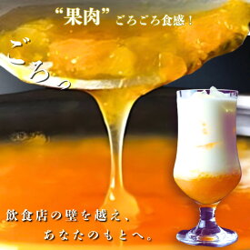 MJシロップ 1000ml 高級 ジュース フルーツ オレ 誕生日 ギフト 大阪 お土産 贈り物 プレゼント 牛乳 割り シロップ ミルク 飲料 森井食品 出産 内祝い おうちカフェ お取り寄せ おしゃれ ミックスジュースの素