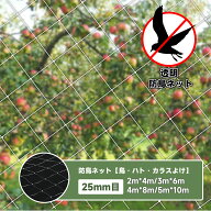 ＼5/9-5/16 10%+2P off！／鳥よけネット 防鳥ネット 鳥避けネット 園芸つるネット 農業用品 家庭菜園ネッ…