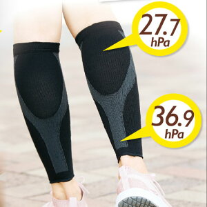 Z@@X^g ӂ͂T|[^[2@[֑