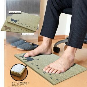 Ygp@Kv`݁i^S@cj@@n̏El鍑Y̑݁@y[J[̒ïׁALZsȀiƂ̓sz