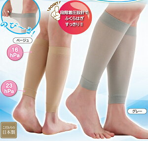 ɂɔbVӂ͂T|[^[@2@Z@@{@[֑