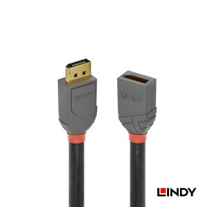 LINDY ANTHRA LINE 0.5m 1m DisplayPort 1.4 IX/X P[u Full HD120Hz3Df\ZpɑΉ