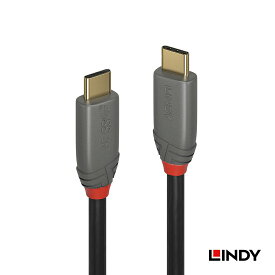 【10％OFFクーポン配布中】【レビューでさらにクーポンGET】LINDY ANTHRA LINE 0.5m 1m 1.5m USB3.2 Gen 2x2 Type-Cケーブル+PDスマートチップ PD対応 DisplayPort Alternate Modeに対応 高速データ転送 USB-C ケーブル スマートチップ USB Type-C ケーブル映像 /充電 /転送