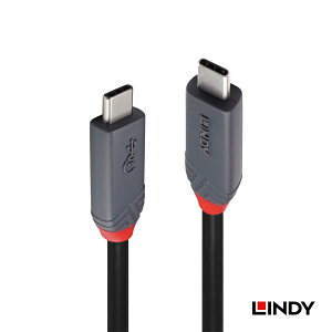 yzLINDY 1m ANTHRA LINE USB4 Gen3x2 Type-CP[u 100W PD}[dΉ DisplayPort Alternate ModeɑΉAő𑜓x8K@30HzɑΉ\