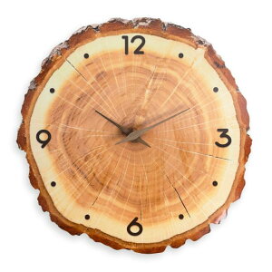 Ǌ|v v  킢 Vv q LbY dr EH[fR[V wj q  q Âq  v Ǌ|v |v q ǂ 蕨 