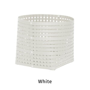 Bandc ohV[ oXPbg L4 {  [JS 傫 ObhfUC Jo[ S10F