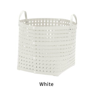 Bandc ohV[ oXPbg LH4 {  [JS  傫 ObhfUC Jo[ S10F