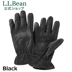 yz GGr[ fBAXL O[u |  AEghA U[O[u Y uh v U[  nt L.L.Bean LLBean llr[ llbeen {v {v U[ v 