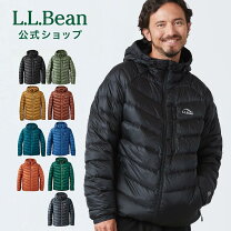 楽天市場】ダウンジャケット フィルパワーの通販