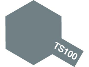 ^~Xv[ TS-100 uCgK^ (Z~OX)y85100z