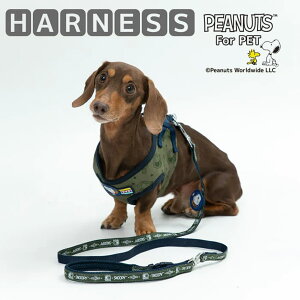 n[lX   ^ ssTCY ʂȂ   y bV ȒP _炩   ybgEFA ybgpi p  Ck  o U ybg ybgp