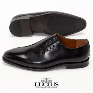 rWlXV[Y Y {v ₷ c JWA q[ vC uh LUCIUS VEX  i rWlX JWAV[Y TCh[X v[gD tH[} [X